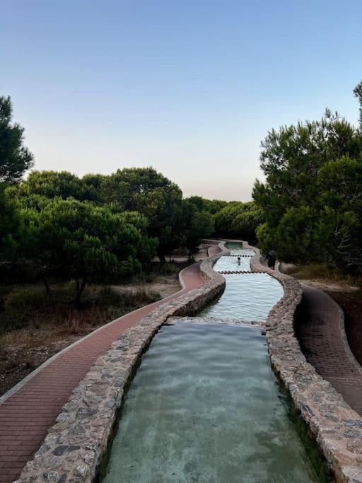Apartament Viajeros Vinamar VII La Mata  Buitenkant foto